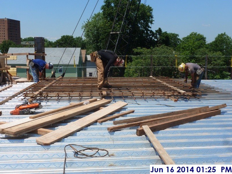 Building rebar mats for Elev. 5,6 (3rd Floor) Facing  North (800x600)